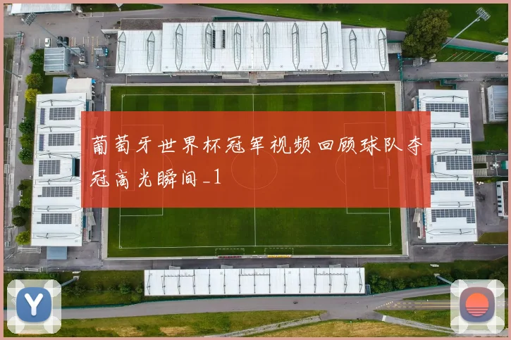 葡萄牙世界杯冠军视频回顾球队夺冠高光瞬间_1