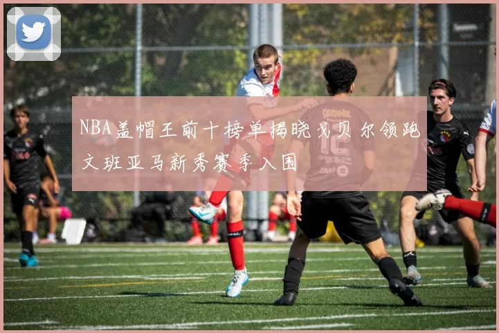 NBA盖帽王前十榜单揭晓戈贝尔领跑文班亚马新秀赛季入围