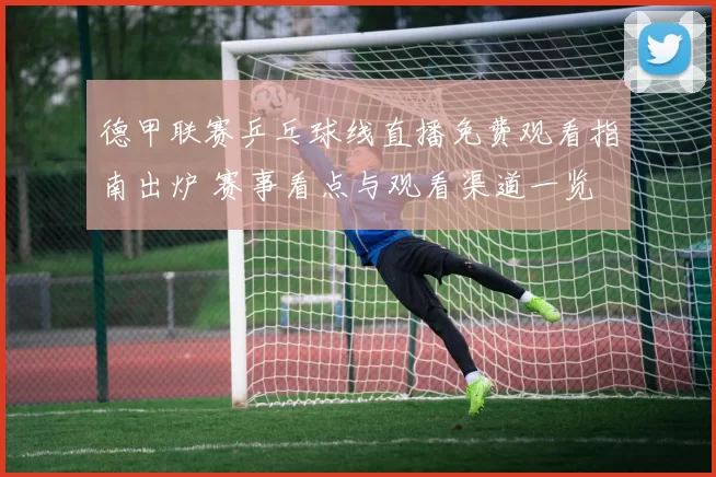 德甲联赛乒乓球线直播免费观看指南出炉 赛事看点与观看渠道一览